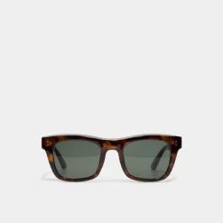 Accessories|Sunglasses^ALDO Aliralx Other Brown