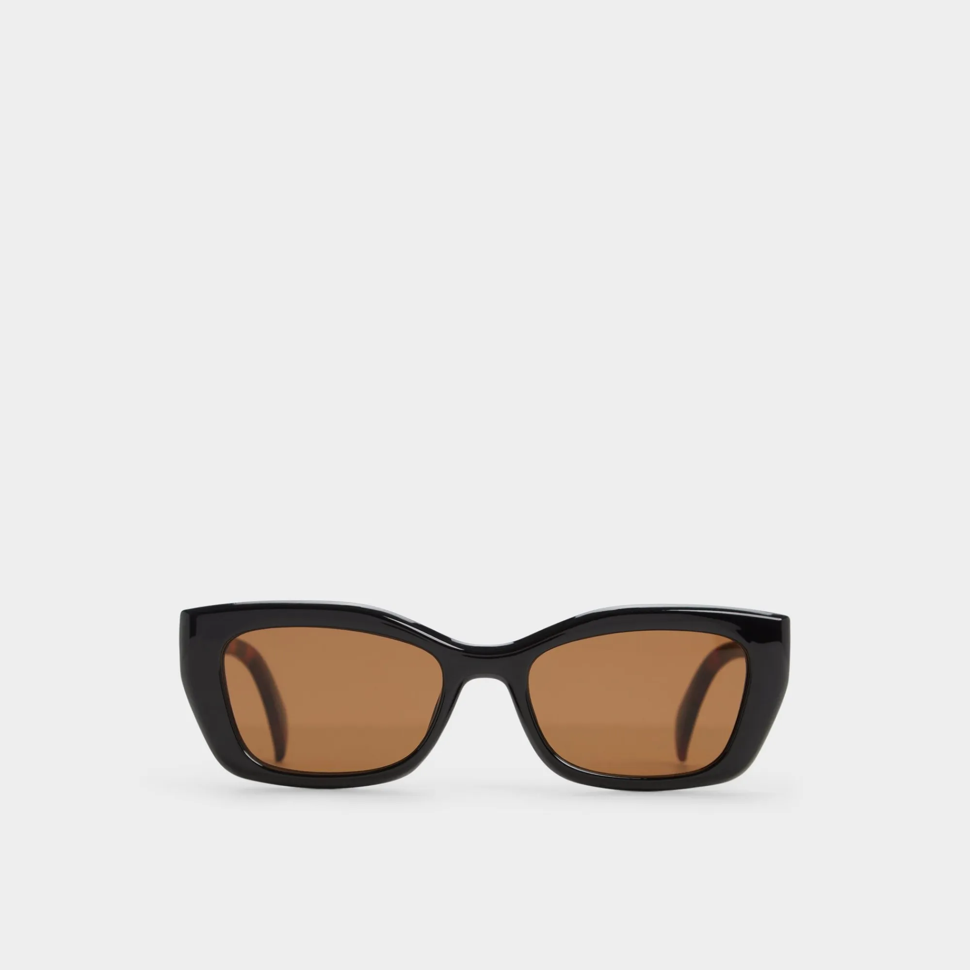Accessories|Sunglasses^ALDO Calaberynx Black