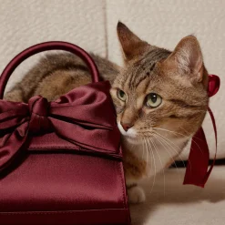 Bags^ALDO Decadencee Dark Red