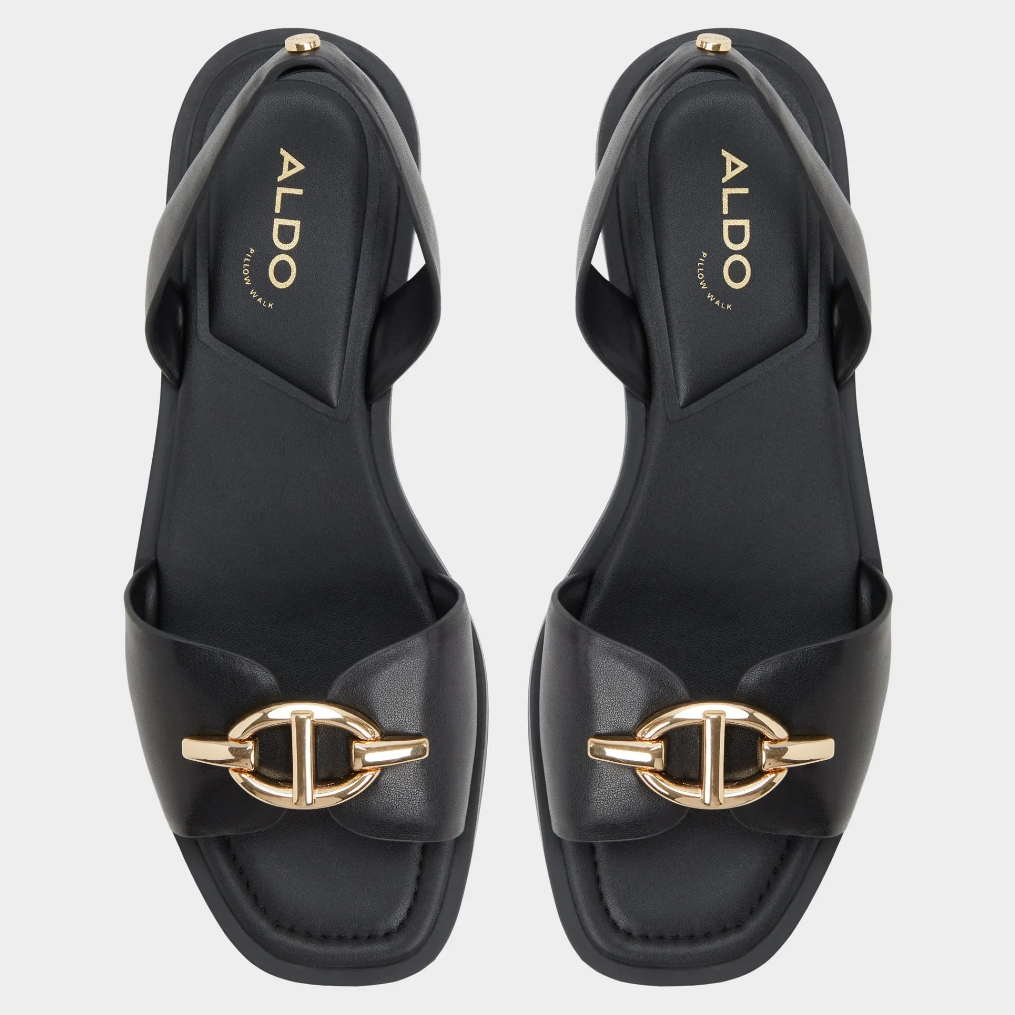 Flat Sandals^ALDO Goassi Black