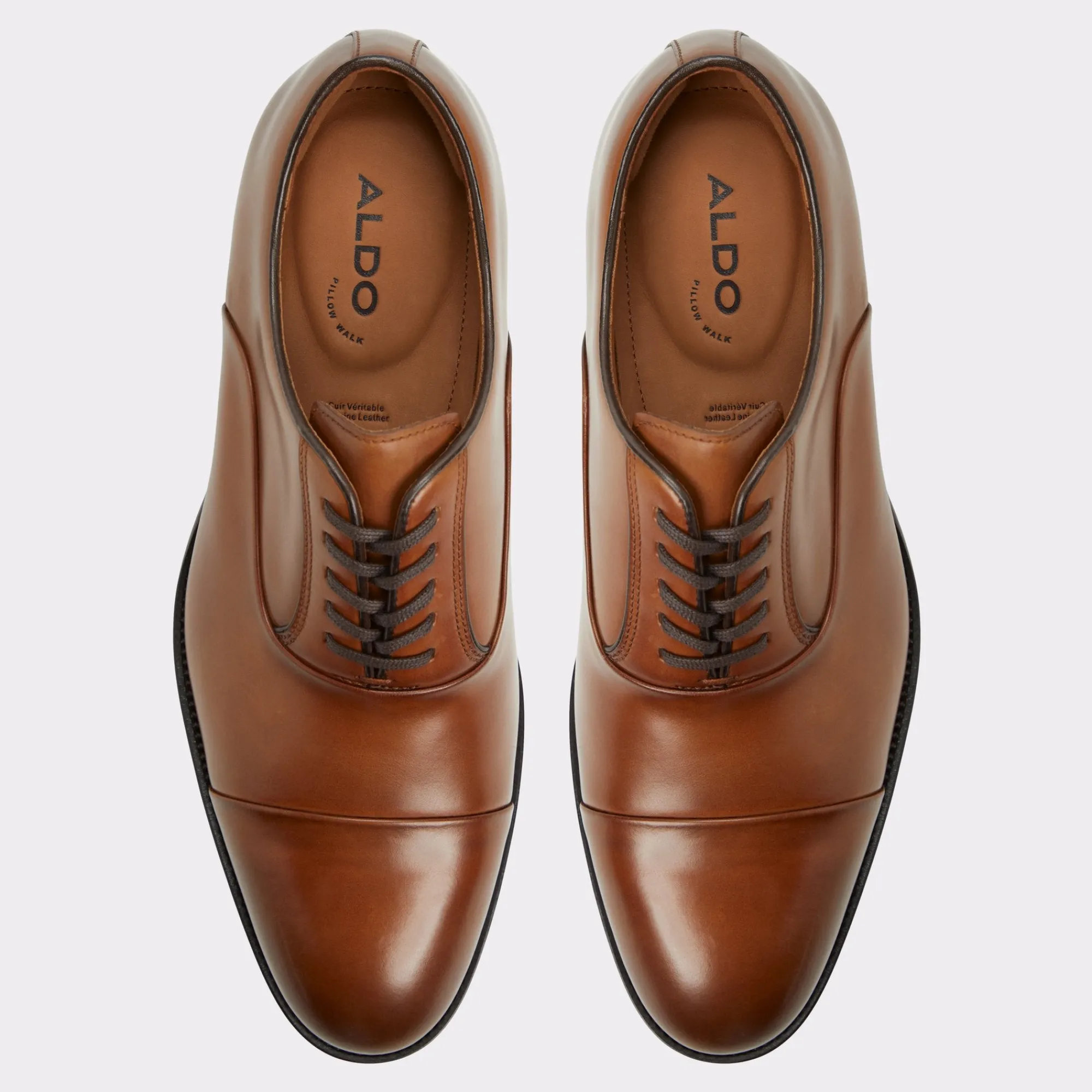 Dress Shoes|Oxfords^ALDO Lazio