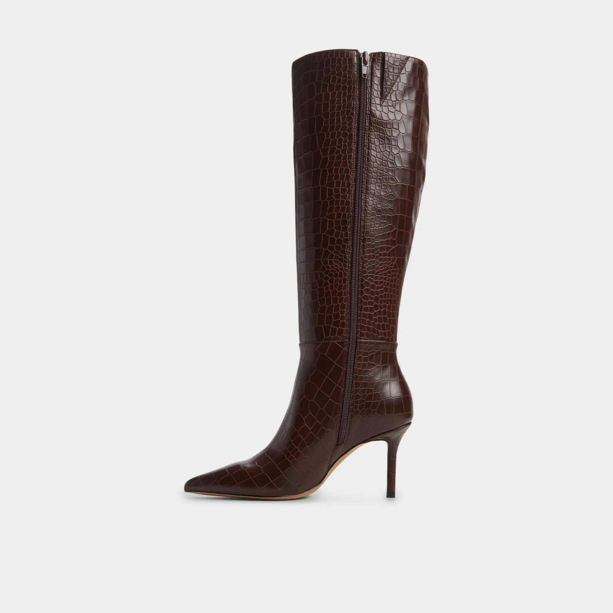 Dress Boots|Tall Boots^ALDO Saphiria Dark brown