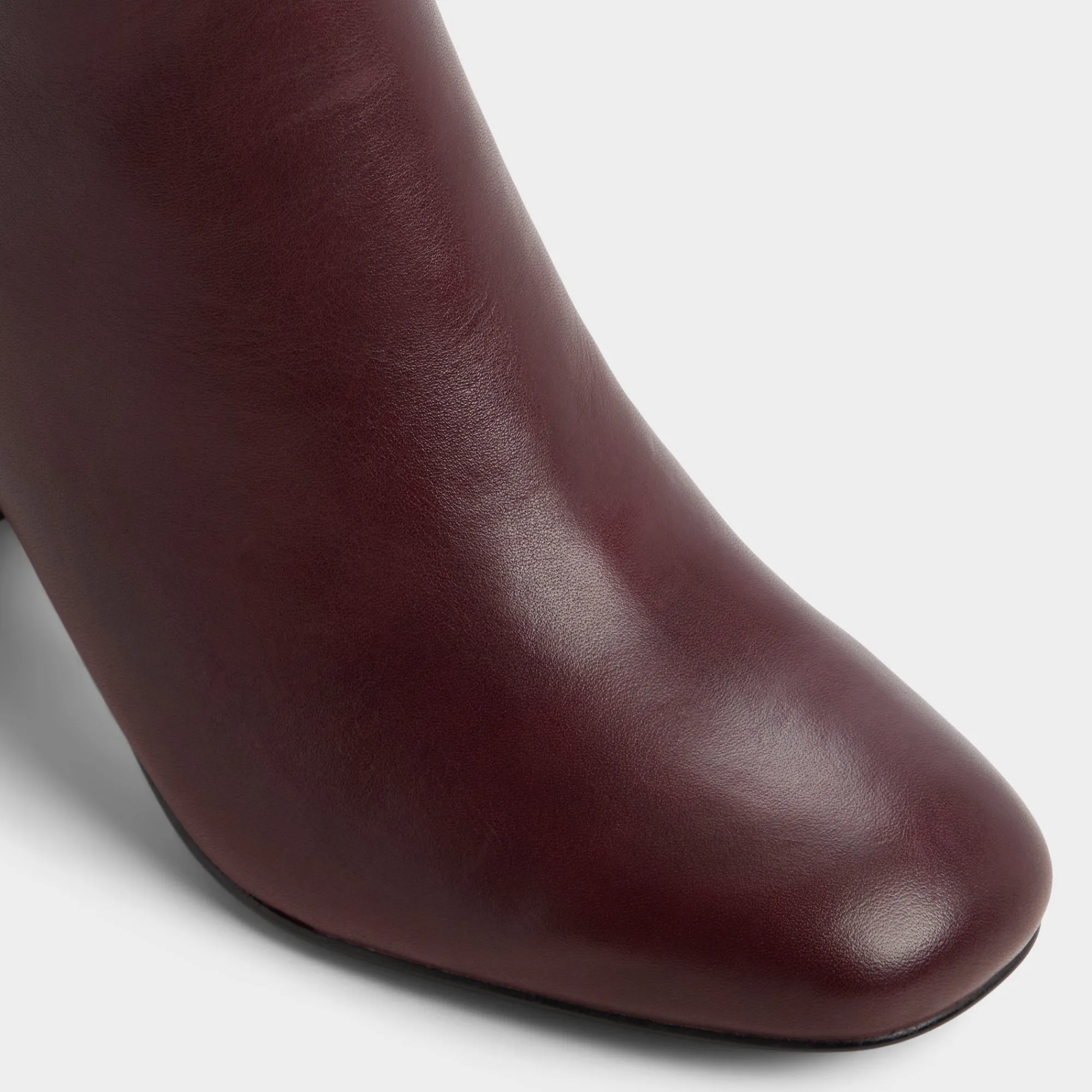 Dress Boots|Tall Boots^ALDO Satori Bordo