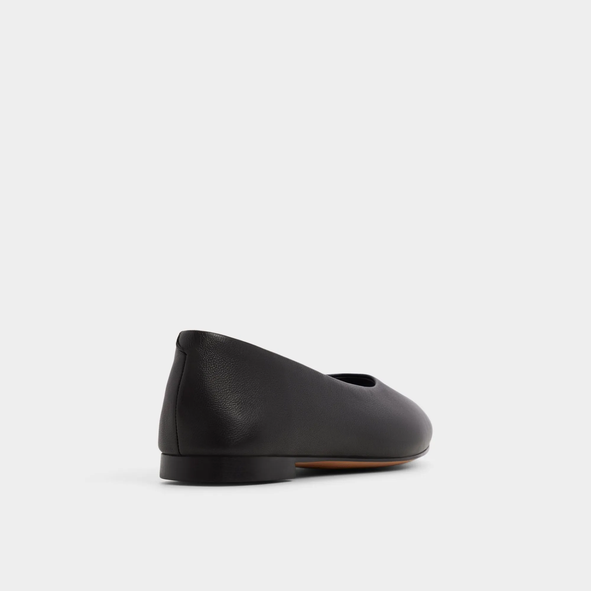 Ballet Flats^ALDO Seviameth Black
