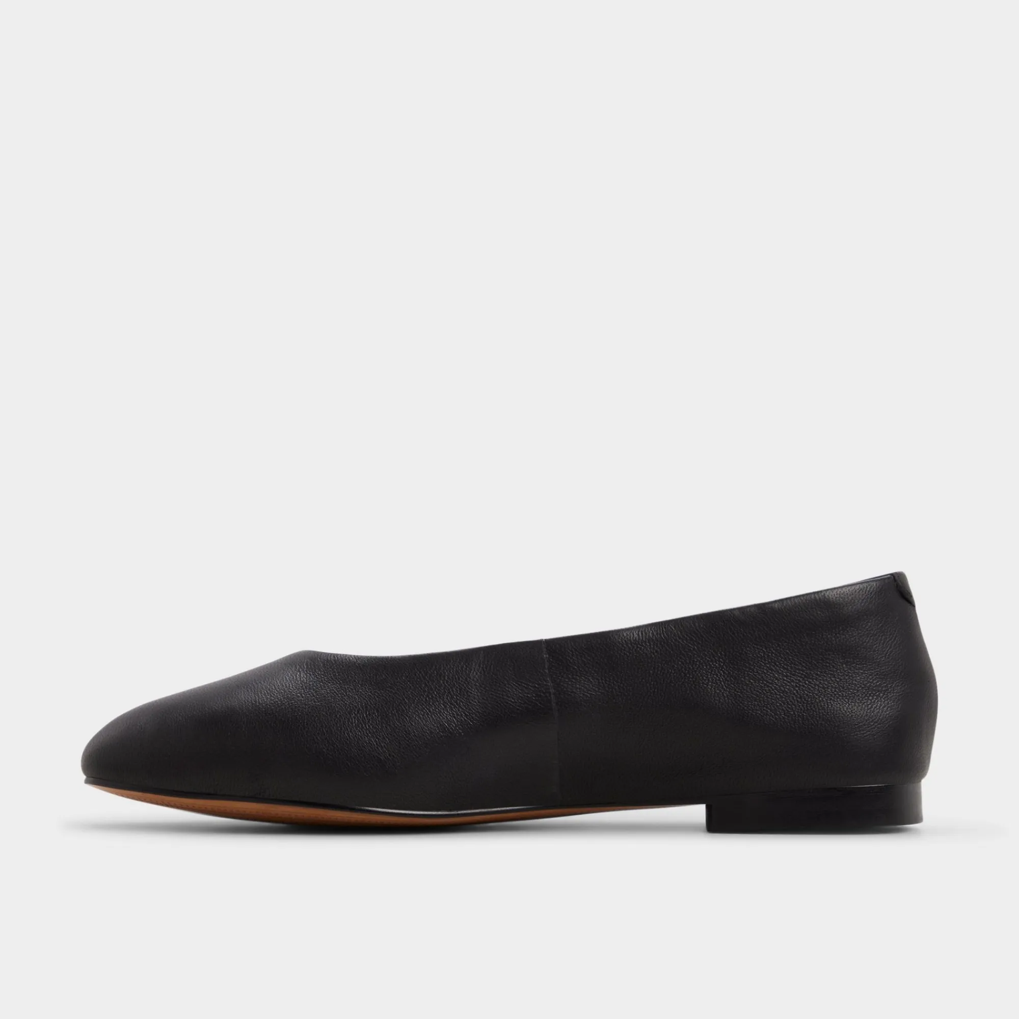Ballet Flats^ALDO Seviameth Black