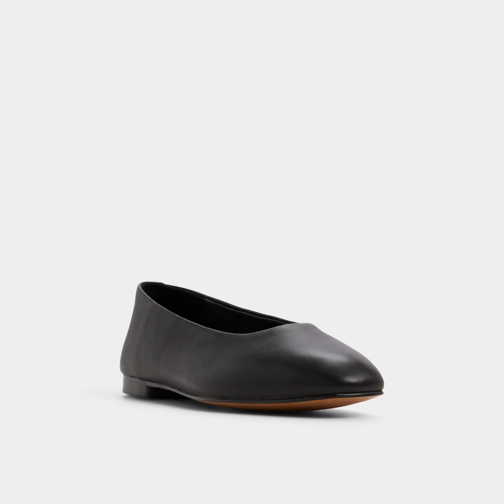 Ballet Flats^ALDO Seviameth Black