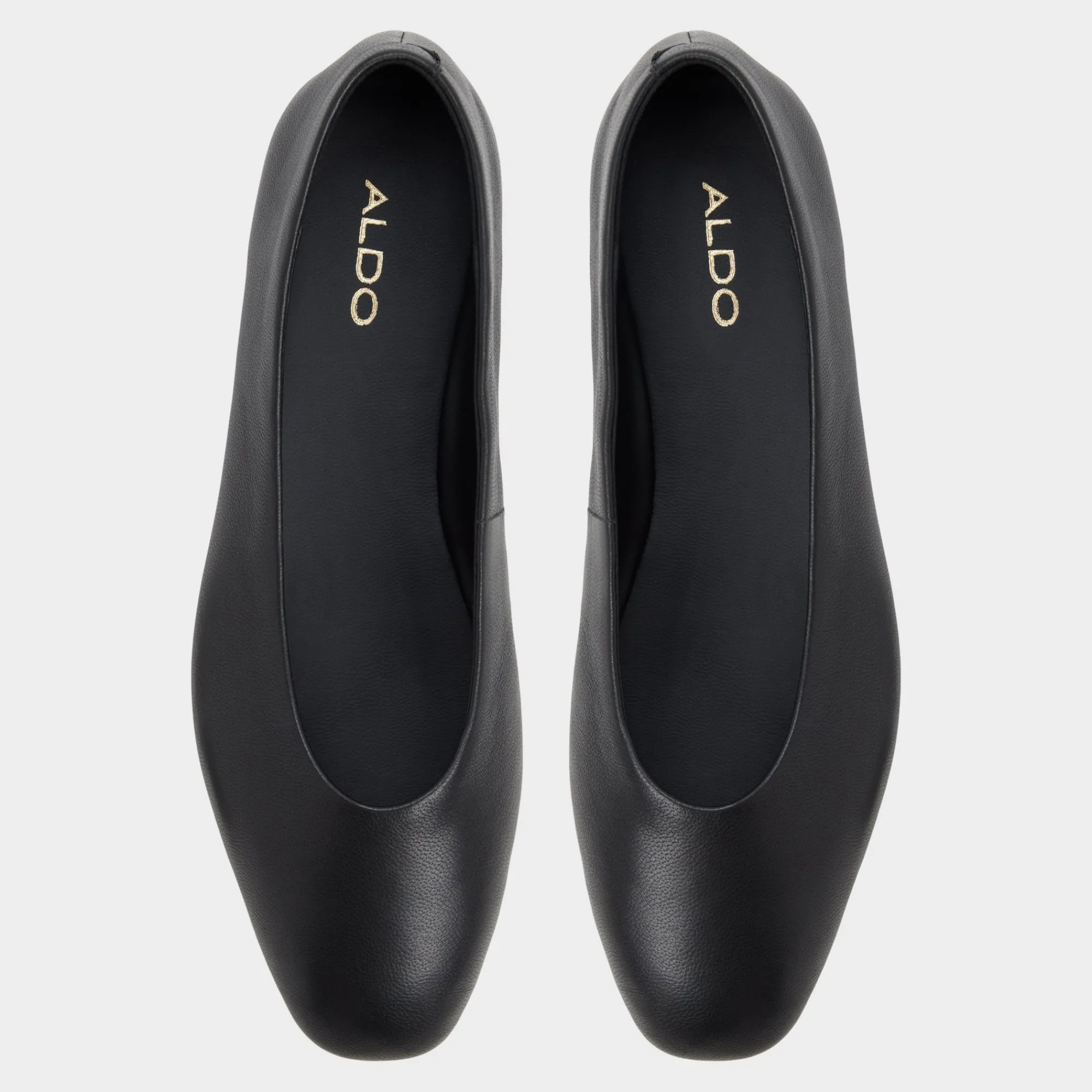 Ballet Flats^ALDO Seviameth Black